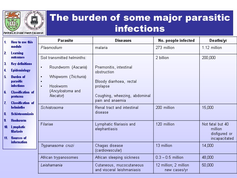 The burden of some major parasitic infections